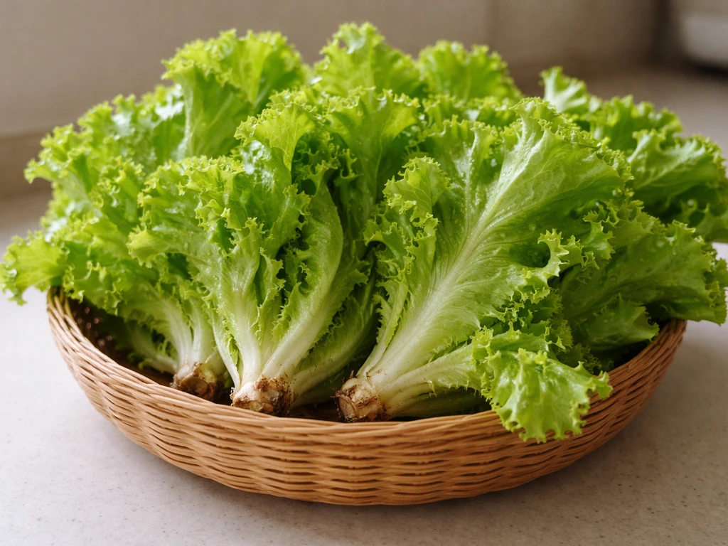 Freshly cut Grand Rapids lettuce in a shallow basket, crisp leaves showing harvest readiness.
